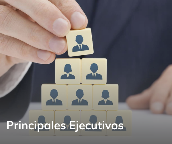 Principales Ejecutivos